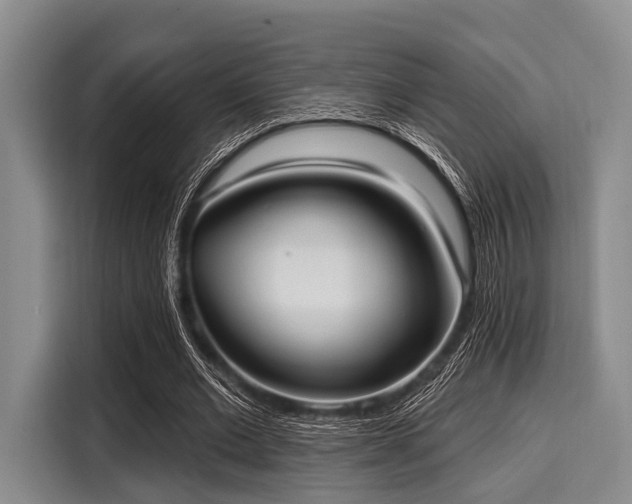 X0000116040677200911271158