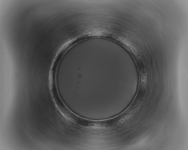 X0000116040678200911271158