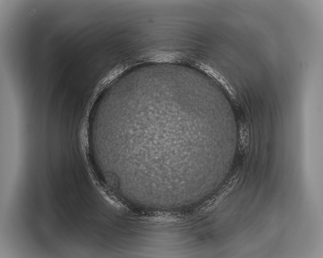 X0000116040682200911271158