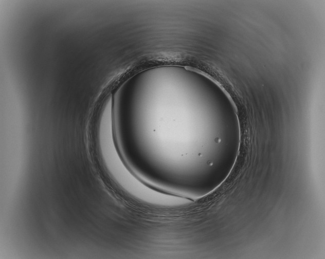 X0000116040688200911271158