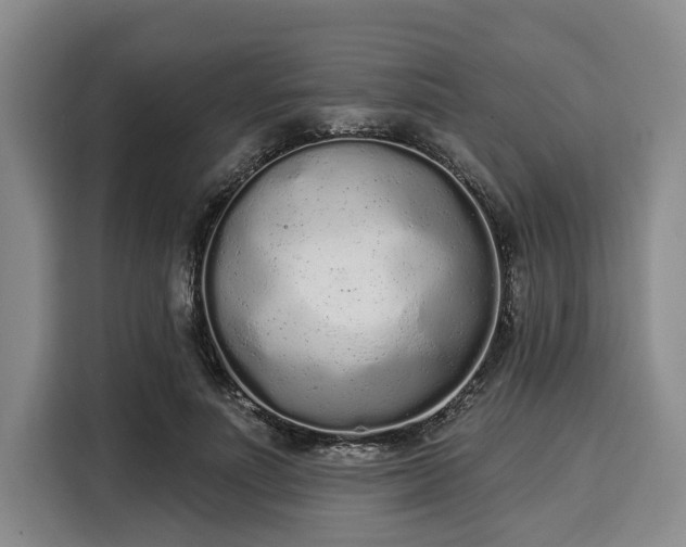 X0000116040691200911271158