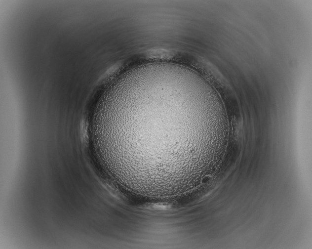 X0000116040692200911271158