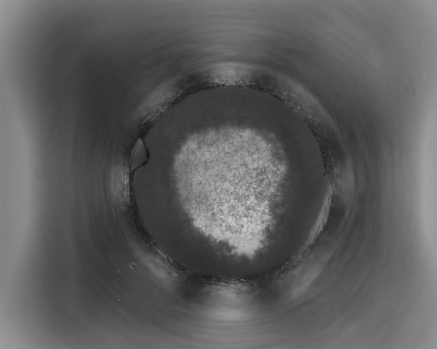 X0000116040696200911271158