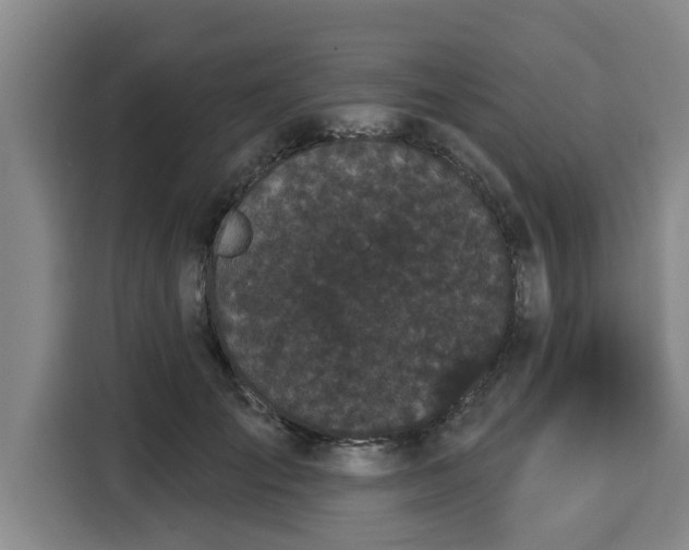 X0000116040701200911271158