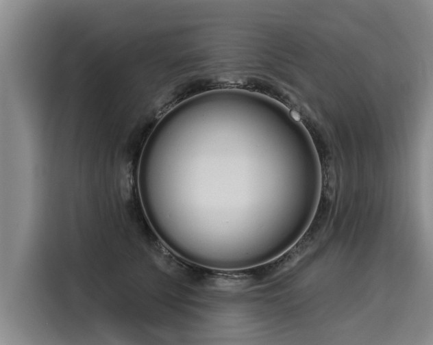 X0000116040707200911271158