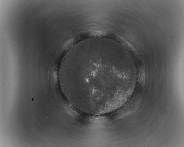 X0000116040716200911271158