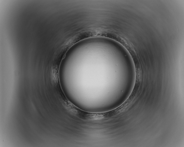 X0000116040719200911271158