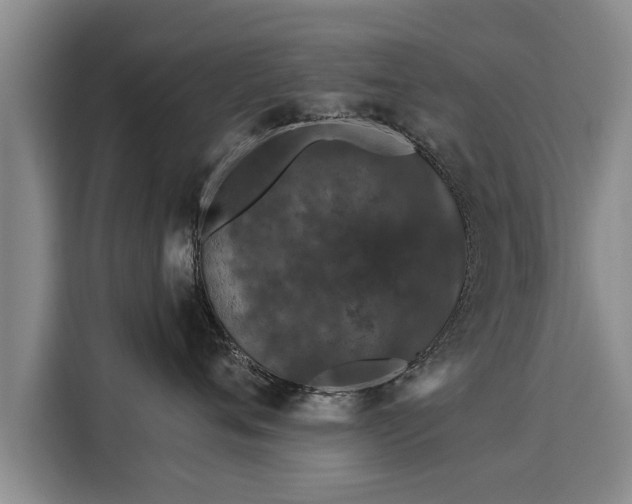 X0000116040720200911271158