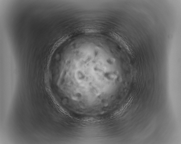 X0000116040721200911271157