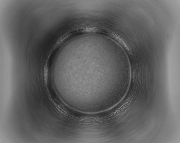 X0000116040722200911271157