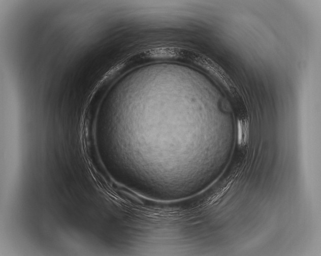 X0000116040723200911271157