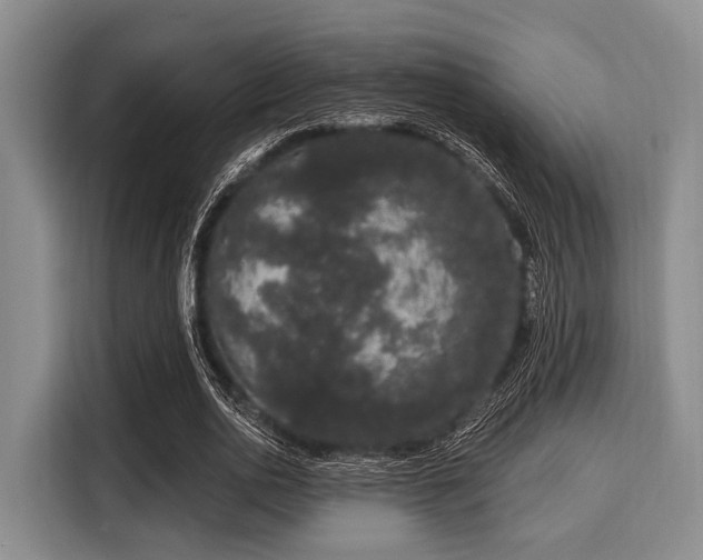 X0000116040726200911271157