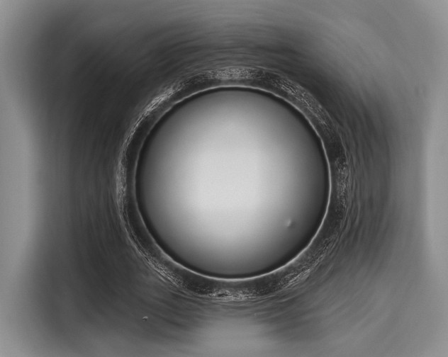 X0000116040727200911271157