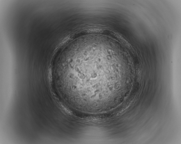 X0000116040729200911271157