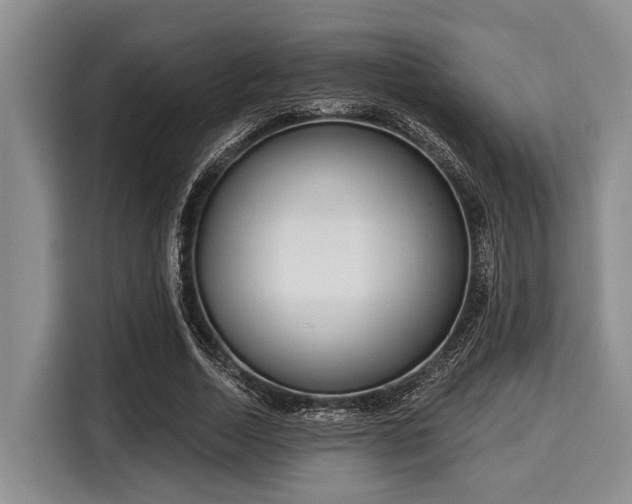 X0000116040730200911271157