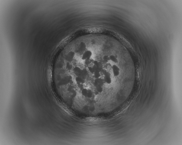 X0000116040733200911271157