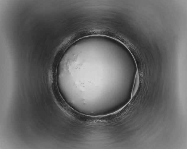 X0000116040734200911271157