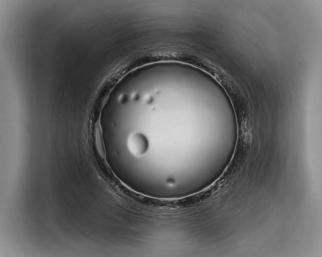 X0000116040735200911271157