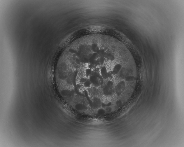 X0000116040737200911271157