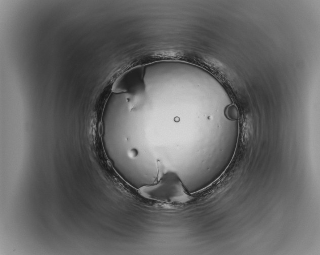 X0000116040739200911271157