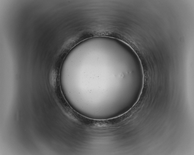 X0000116040742200911271157