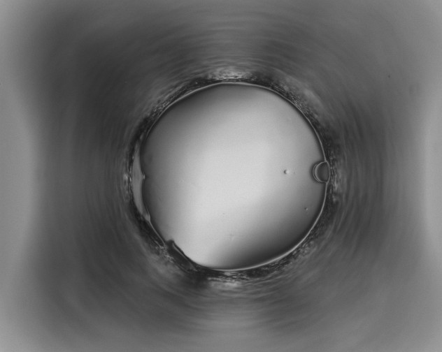 X0000116040743200911271157