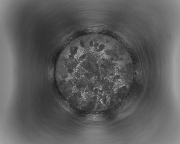 X0000116040745200911271157