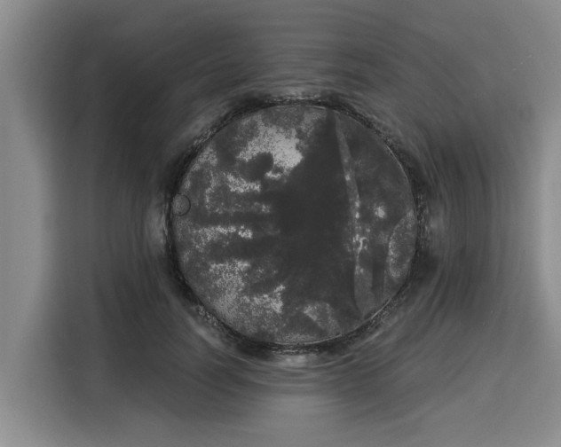 X0000116040746200911271157