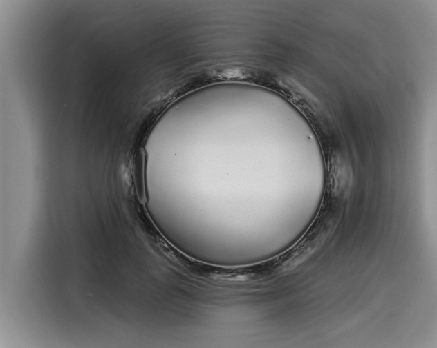 X0000116040747200911271157