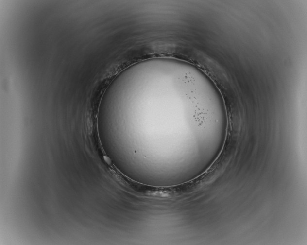 X0000116040751200911271158