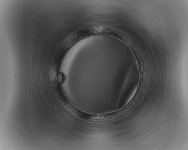 X0000116040754200911271158