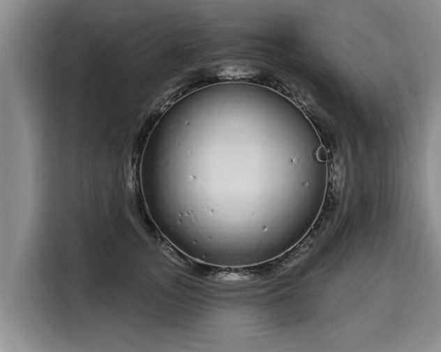 X0000116040755200911271158