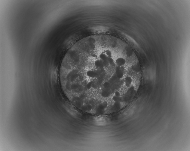 X0000116040761200911271158