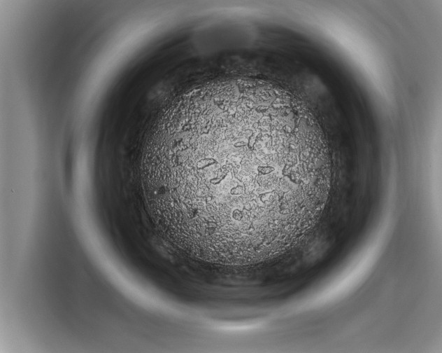 X0000116040765200911271158