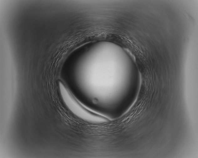 X0000116040769200911271157