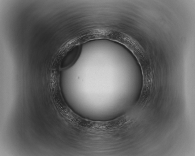 X0000116040773200911271157