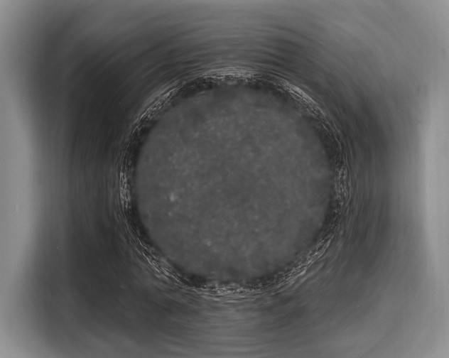 X0000116040774200911271157