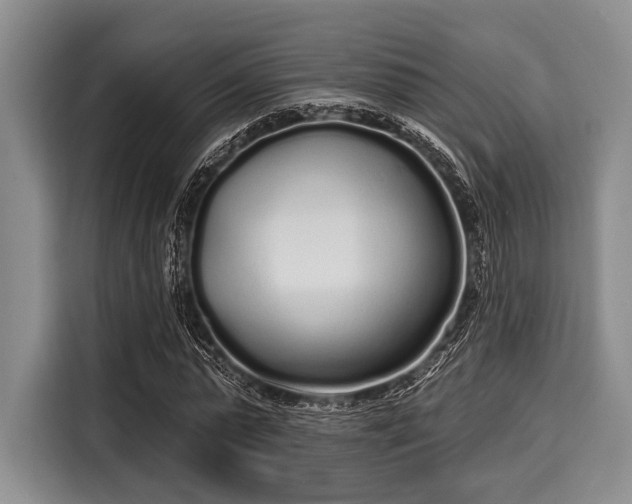 X0000116040775200911271157