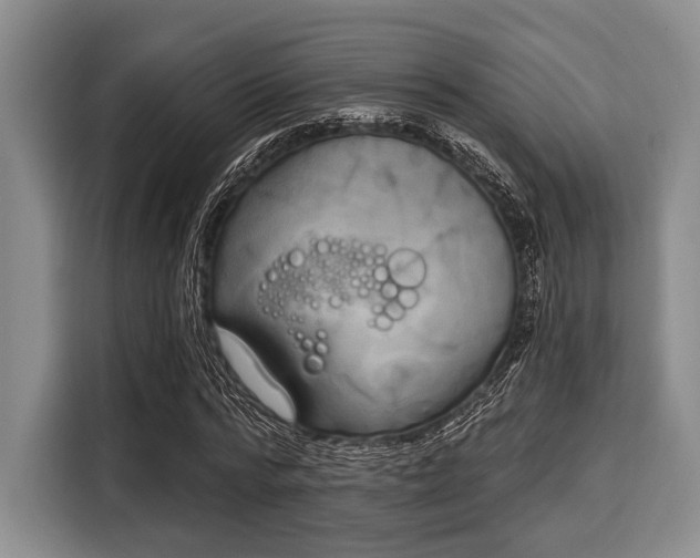 X0000116040776200911271157