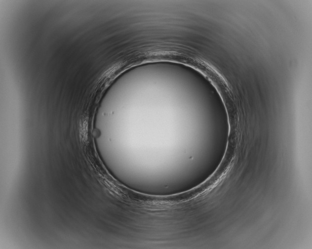 X0000116040777200911271157