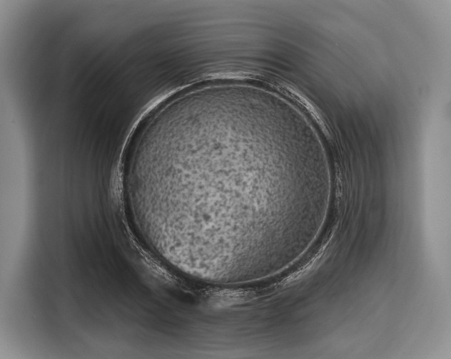 X0000116040779200911271157