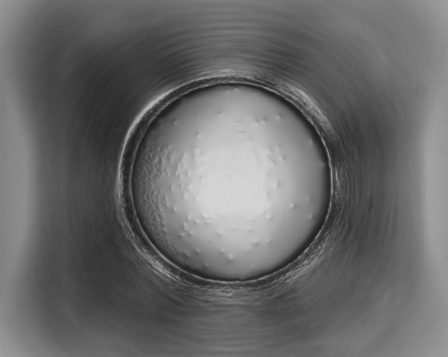 X0000116040780200911271157