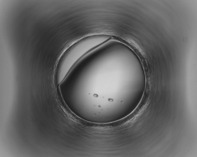 X0000116040781200911271157