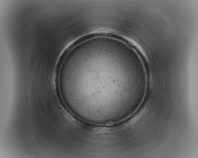 X0000116040783200911271157