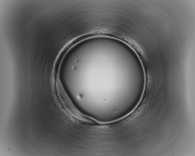 X0000116040784200911271157