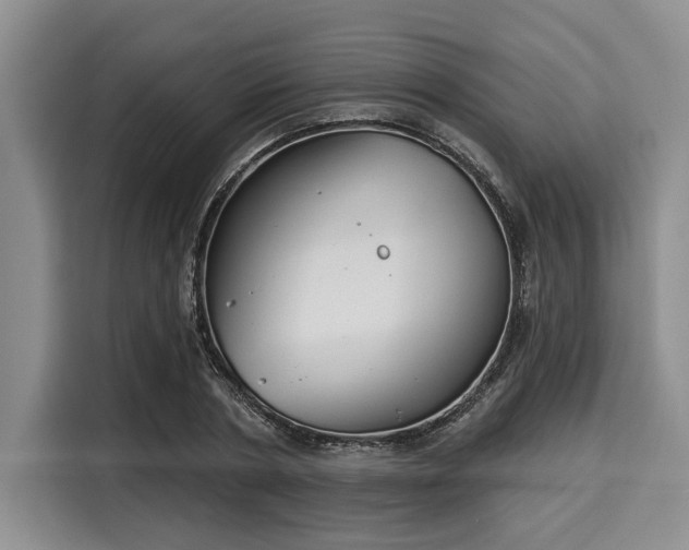 X0000116040786200911271157