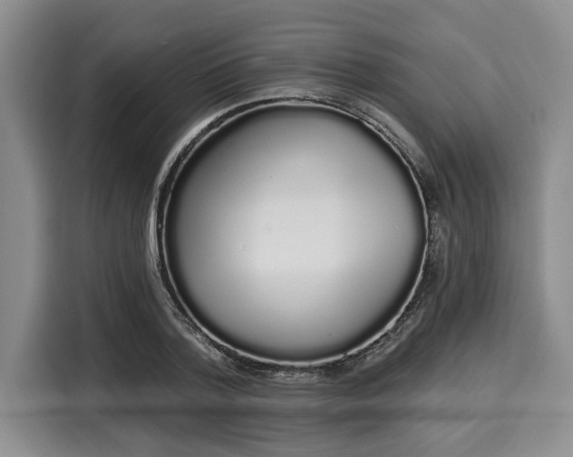 X0000116040788200911271157