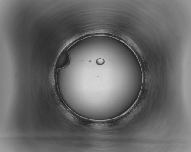 X0000116040789200911271157