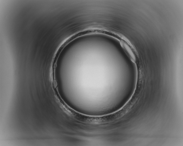 X0000116040791200911271157