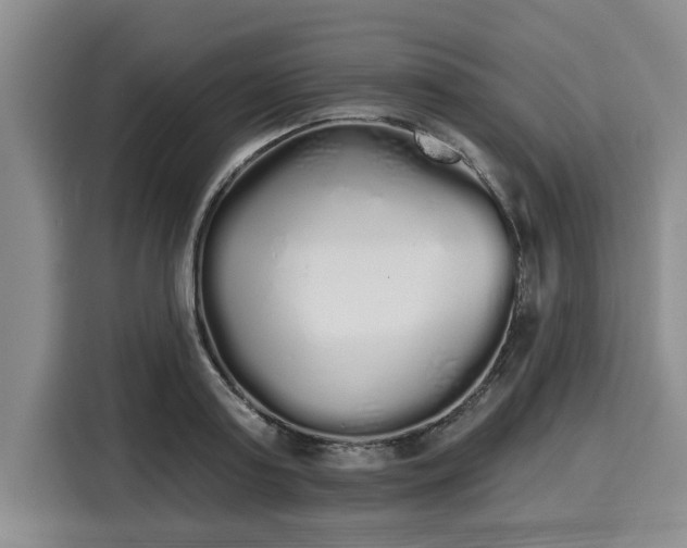 X0000116040795200911271157